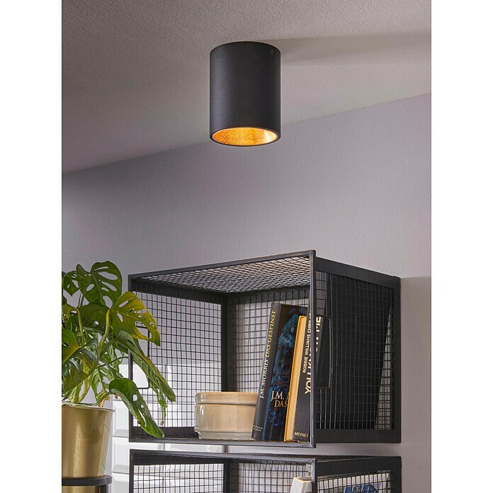 Eglo Led-plafondlamp, rond (3,3 W, Zwart/Goud, Ø x h: 10 x 12 cm)