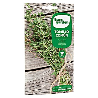 Euro Garden Semillas de hierbas Tomillo (Tiempo de siembra: Marzo - Abril, Cosecha: Febrero - Diciembre)