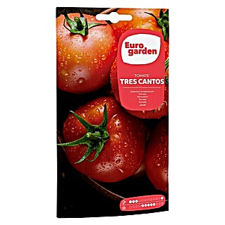 Euro Garden Semillas de vegetales Tomates Tres Cantos (Cosecha: Mayo - Septiembre)