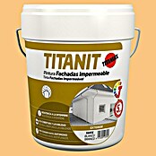 Titan Pintura para fachadas Titanit (Arena, 15 l, Mate)