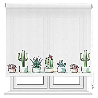 Estor enrollable Cactus (An x Al: 90 x 190 cm, Blanco, Traslúcido)
