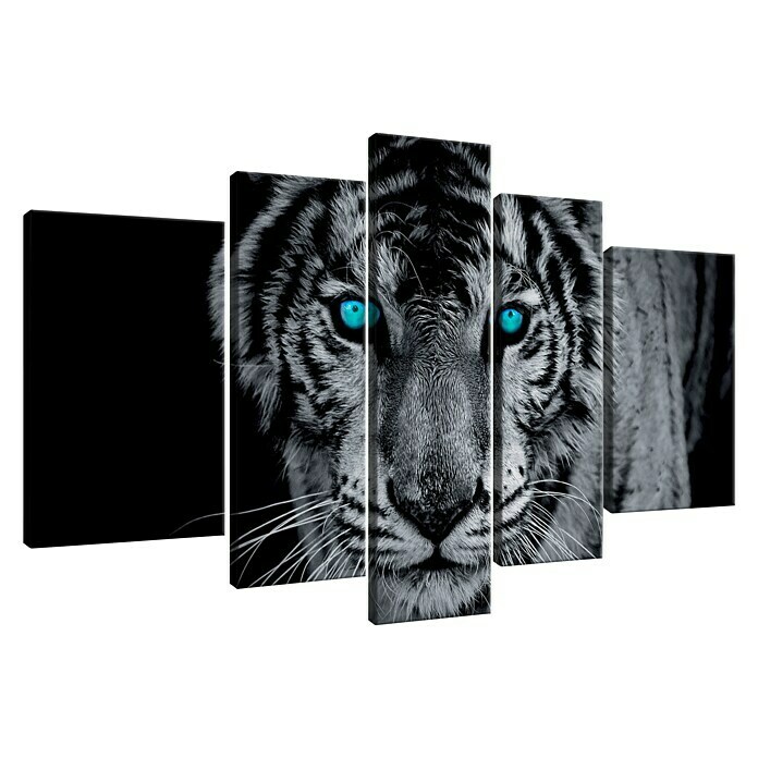 Leinwandbild (Tiger, B x H: 100 x 70 cm, 5 -tlg.) -