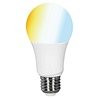 Müller-Licht Tint LED-Leuchtmittel (E27, 9 W, A60, 806 lm, Einstellbare Farbtemperatur)
