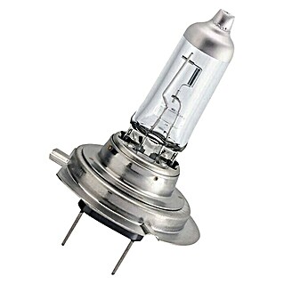Philips Halogeenkoplamp H7 EcoVision (1 st., 55 W)