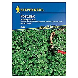 Kiepenkerl Profi-Line Saatgut Winterportulak (Montia perfoliata)