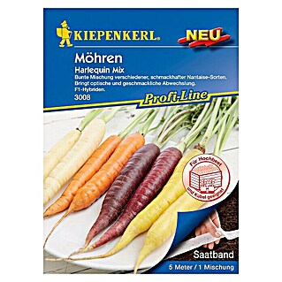 Kiepenkerl Gemüsesamen Möhre (Harlequin Mix, Daucus carota, Erntezeit: Juni - Oktober)