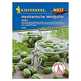 Kiepenkerl Profi-Line Gemüsesamen Mexikanische Minigurke (Melothria scabra, Erntezeit: September - Oktober)