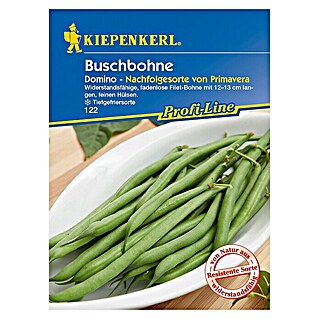 Kiepenkerl Profi-Line Gemüsesamen Buschbohne (Domino, Phaseolus vulgaris, Erntezeit: Juli - September)