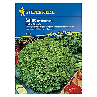 Kiepenkerl Profi-Line Salatsamen Pflücksalat (Lactuca sativa var. crispa, Erntezeit: Mai - Oktober)
