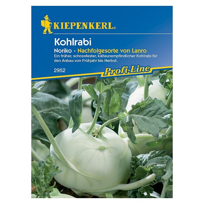 Kiepenkerl Profi-Line Gemüsesamen Kohlrabi Noriko 