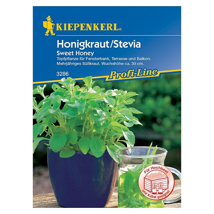 Kiepenkerl Profi-Line Kräutersamen Stevia 