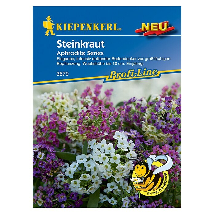 Kiepenkerl Profi-Line Blumensamen Steinkraut 