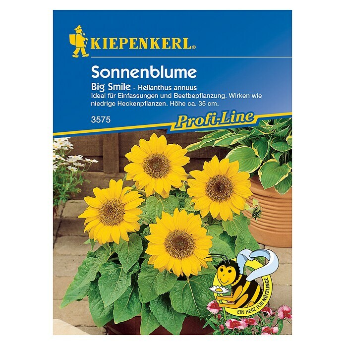 Kiepenkerl Profi-Line Blumensamen Sonnenblume 