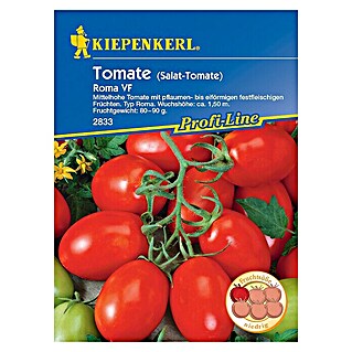 Kiepenkerl Profi-Line Gemüsesamen Tomate Roma (Solanum lycopersicum, Erntezeit: Juli - Oktober)