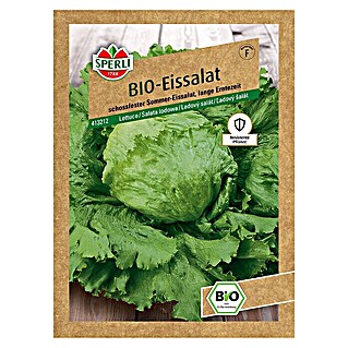 Sperli Salatsamen BIO Eissalat (Lactuca sativa, Erntezeit: Juni - Oktober)