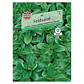 Sperli Salatsamen Feldsalat (Valerianella locusta, Erntezeit: Ganzjährig)