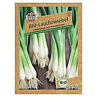 Sperli Gemüsesamen BIO Lauchzwiebel (Allium cepa, Erntezeit: April - Oktober)