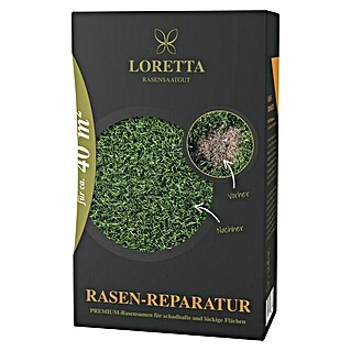 Loretta Rasensamen Rasen-Reparatur (0,6 kg, 40 m²)