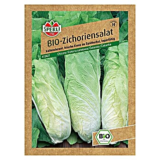 Sperli Salatsamen BIO Zichoriensalat (Chichorium intybus, Erntezeit: Oktober - November)
