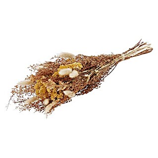 Trockenblumenstrauß (Länge: 50 cm, Braun)