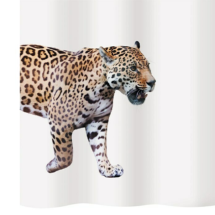 diaqua Duschvorhang Jaguar 180 x 180 cm
