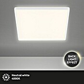 Prisma Leuchten LED-Panel Backlight (22 W, Weiß, L x B x H: 42 x 42 x 2,9 cm)