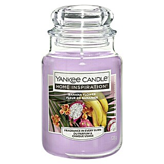 Yankee Candle Home Inspirations Duftkerze (Im Glas, Banana Flower, Large)