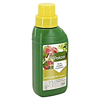 Pokon Vloeibare meststof Anthurium Voeding (250 ml)
