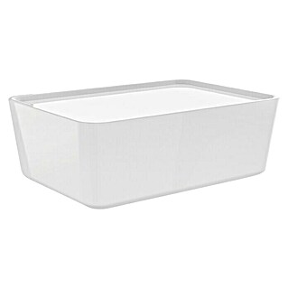 Regalux Aufbewahrungsbox R-Box (L x B x H: 17 x 13 x 8 cm, Kunststoff, Weiß)