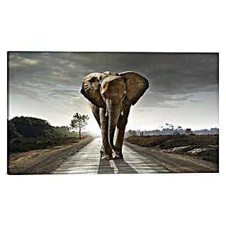 Holzbild Deco Block (Elephant King, B x H: 118 x 70 cm)