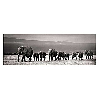 Holzbild Deco Block (Line of Elephants, B x H: 118 x 40 cm)