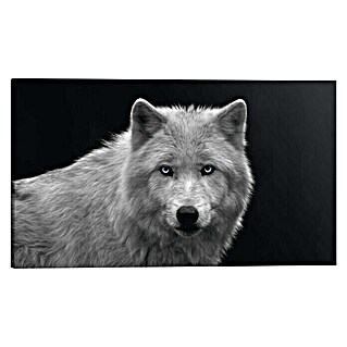 Holzbild Deco Block (White Wolf - Blue Eyes, B x H: 118 x 70 cm)