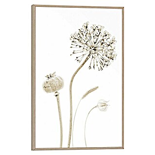 Bild Slim Frame (Flower Stills, B x H: 20 x 30 cm)