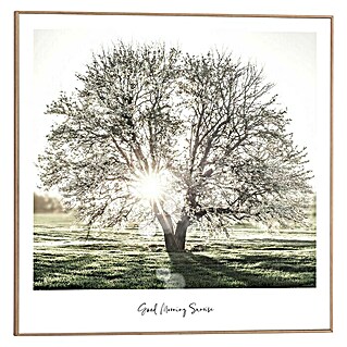 Bild Slim Frame (Sunbeam Tree, B x H: 50 x 50 cm)