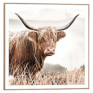 Bild Slim Frame (Nature Cow, B x H: 50 x 50 cm)