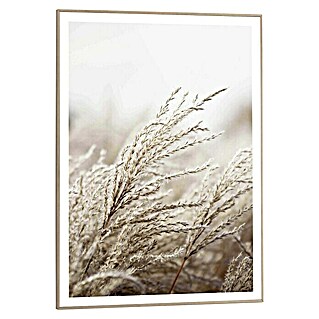 Bild Slim Frame (Field Grass, B x H: 50 x 70 cm)