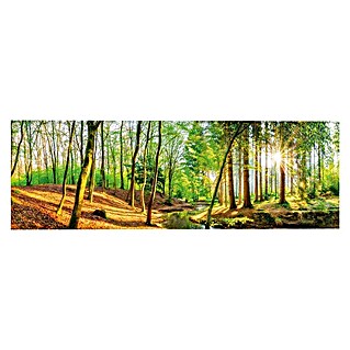 Decopanel (Spring Woods, B x H: 156 x 52 cm)