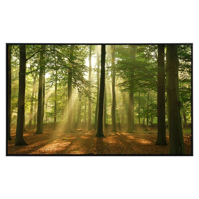 Papermoon Infrarot-Bildheizkörper Wald am Morgen 