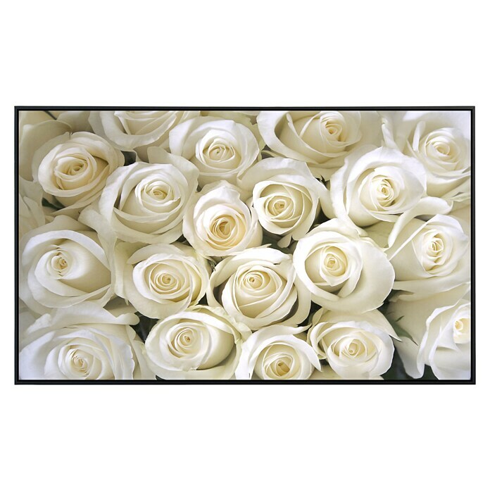 Papermoon Infrarot-Bildheizkörper Weiße Rosen 