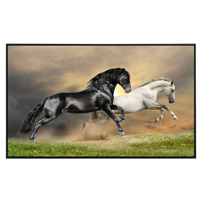 Papermoon Infrarot-Bildheizkörper Pferde schwarz weiss 