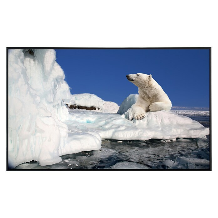 Papermoon Infrarot-Bildheizkörper Eisbär 