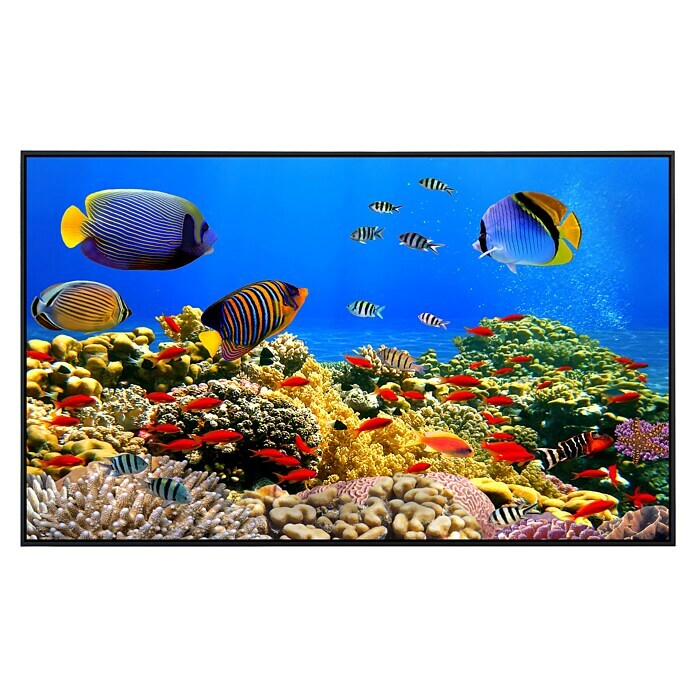 Papermoon Infrarot-Bildheizkörper Korallenkolonie Rotes Meer 