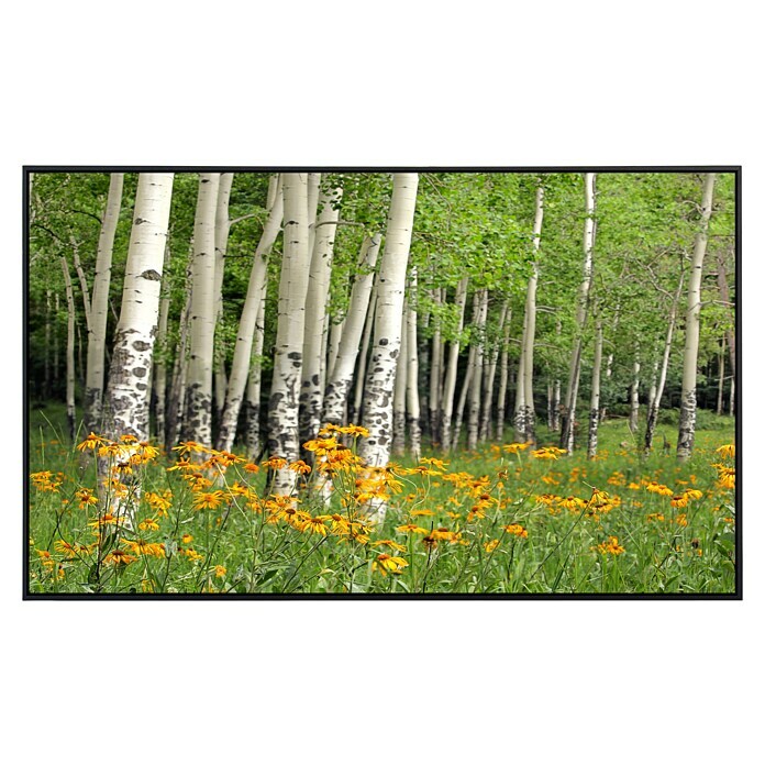 Papermoon Infrarot-Bildheizkörper Aspen Grove + Orange Wildflowers 
