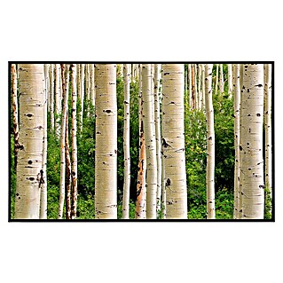 Papermoon Infrarot-Bildheizkörper Aspen Woods im Sommer (120 x 60 cm, 1.200 W)
