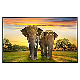 Papermoon Infrarot-Bildheizkörper Elefantenfamilie (120 x 60 cm, 900 W)