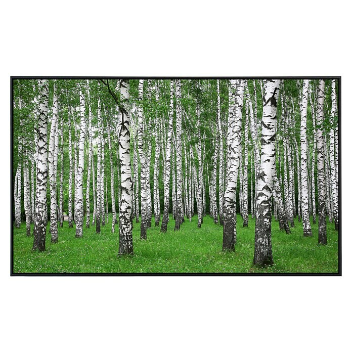 Papermoon Infrarot-Bildheizkörper Birkenwald im Sommer 