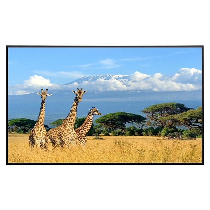 Papermoon Infrarot-Bildheizkörper Giraffen am Kilimandscharo 