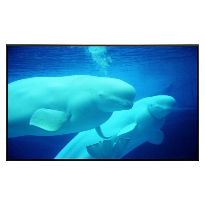 Papermoon Infrarot-Bildheizkörper Beluga Wale 