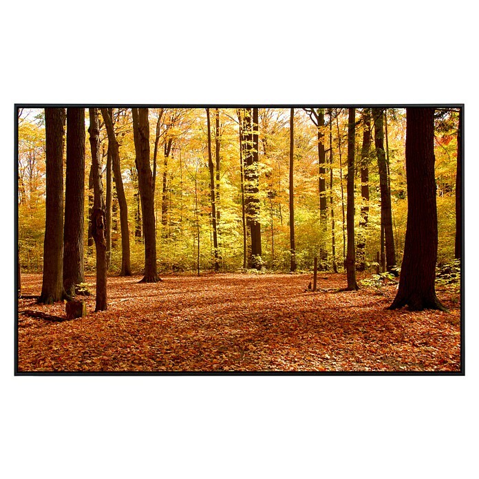 Papermoon Infrarot-Bildheizkörper Herbstwald 2 