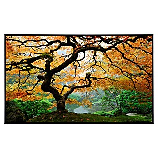Papermoon Infrarot-Bildheizkörper Herbst Ahornbaum (120 x 60 cm, 750 W)